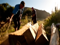 Chiến lược phục hồi của doanh nghiệp chế biến gỗ