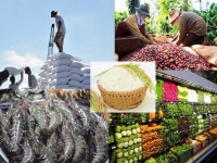 Xuất khẩu nông, lâm, thủy sản ước đạt 38,75 tỷ USD, tăng hơn 13% 