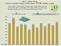 Giá gạo xuất khẩu Việt Nam tăng mạnh