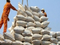 Xuất khẩu gạo 4 tháng vượt 1 tỷ USD, giá duy trì ở mức cao