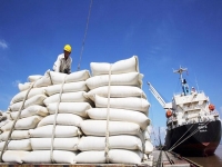 Xuất khẩu gạo sang thị trường ASEAN có nhiều thay đổi