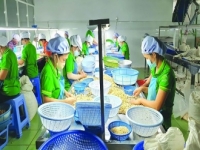 100 container hạt điều đã trở về sở hữu của các doanh nghiệp Việt
