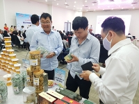 Kết nối đưa sản phẩm của Đà Nẵng vào các kênh phân phối trên địa bàn