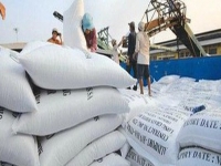  Giá gạo Việt Nam cao nhất thế giới, liên tục đột phá thị trường mới 