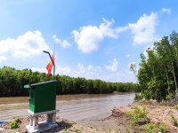 Giám sát môi trường rừng ngập mặn Cà Mau