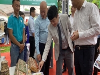 Hàng nông sản xuất khẩu của doanh nghiệp Việt phải dán nhãn “Tây”