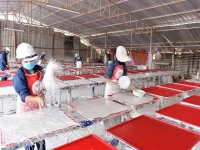 Khởi nghiệp trên đất Lào, doanh nghiệp Việt thành công với sản phẩm bột và tấm trần thạch cao