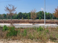 Kon Tum đấu giá 44 lô đất tại một dự án khu tái định cư