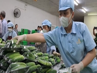 Chung tay nâng chất thực phẩm Việt Nam
