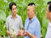 Hậu Giang tăng cường hỗ trợ hợp tác xã để nông nghiệp phát triển