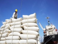 Sửa Nghị định Kinh doanh xuất khẩu gạo