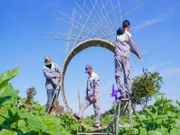 Mở cửa Vườn Hoa Hướng Dương đậm chất phương Nam tại Van Phuc City