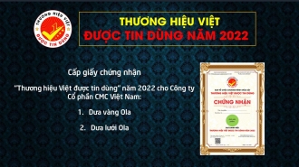 Cấp chứng nhận "Thương hiệu Việt được tin dùng" cho Công ty Cổ phần CMC Việt Nam