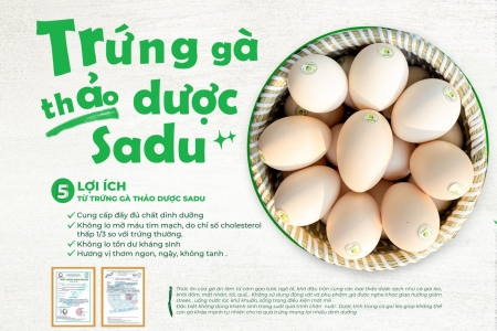 Trứng gà thảo dược cà gai leo Sadu